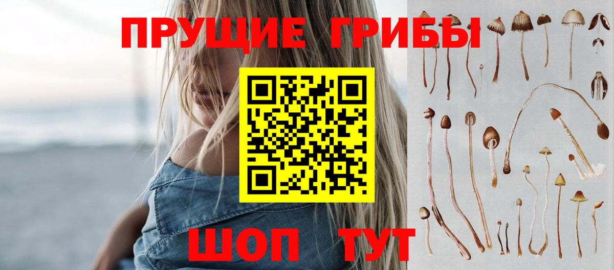 Мыски  Галлюциногенные грибы MAGIC MUSHROOMS  Вход с VPN 